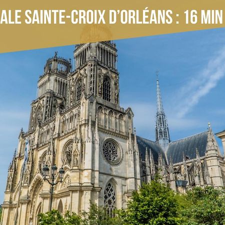 Le St Paterne, Hyper Centre, 3 Chambres Tt Confort オルレアン エクステリア 写真